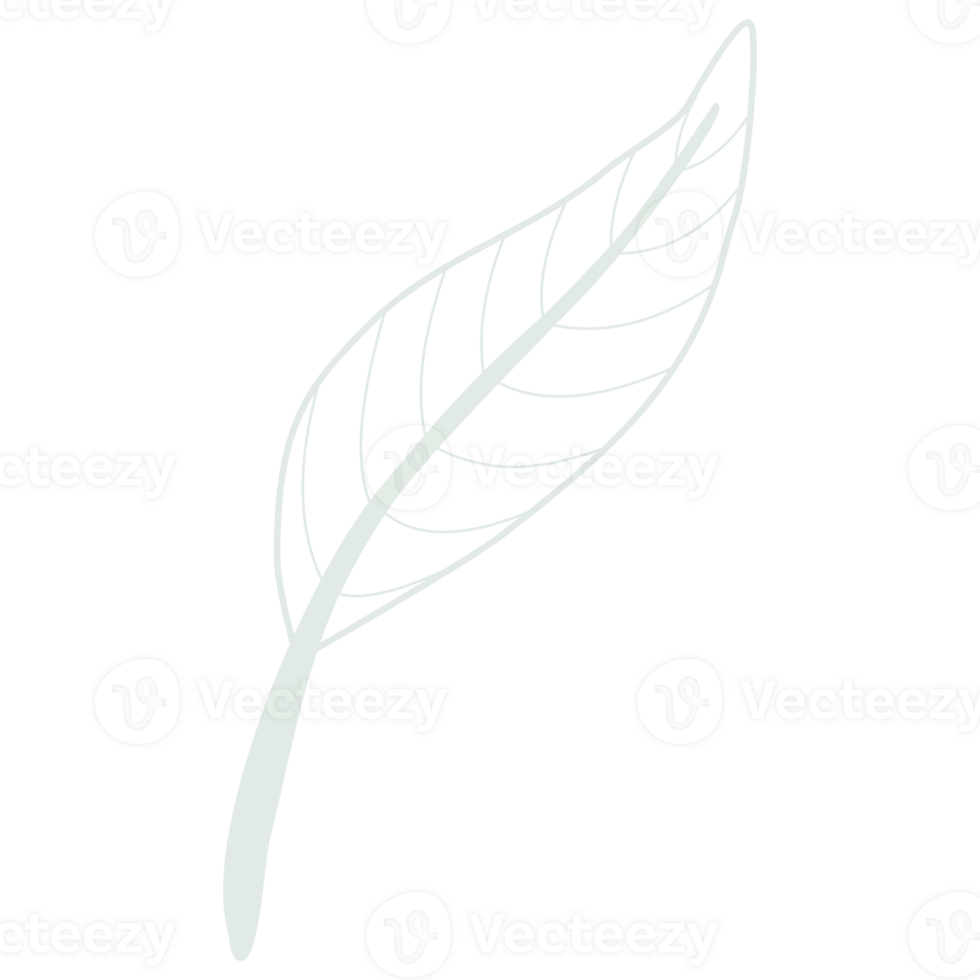 Line art leaf png