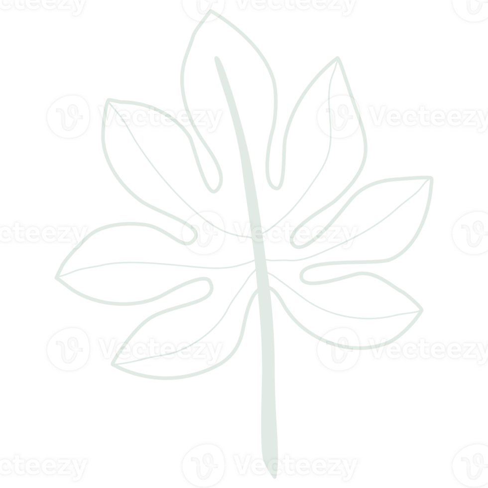 Line art leaf png