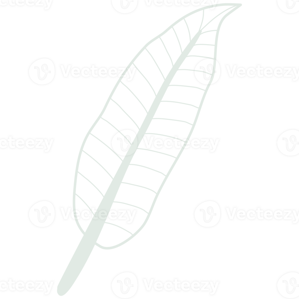 Line art leaf png