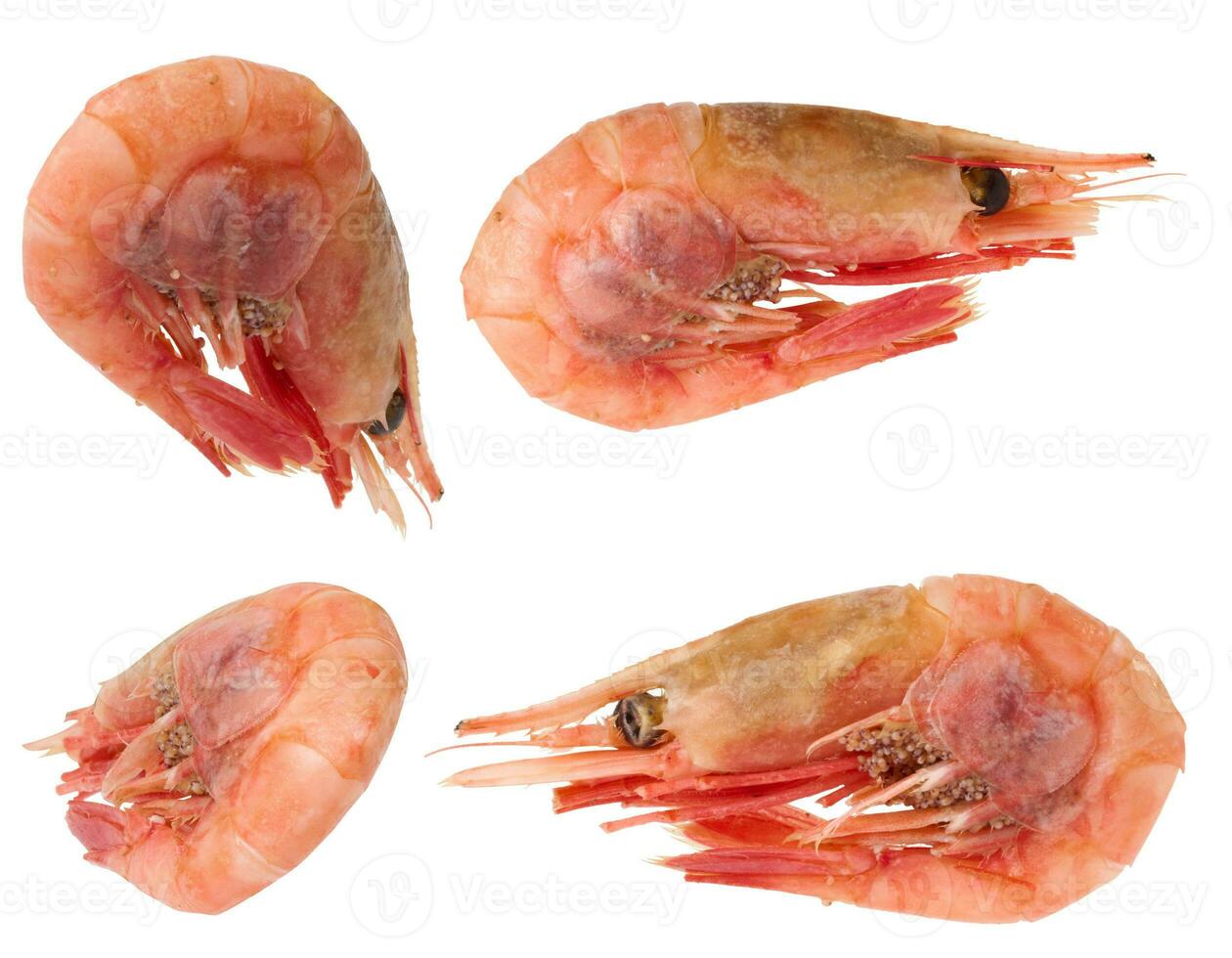 Boiled shrimp on a white isolated background photo