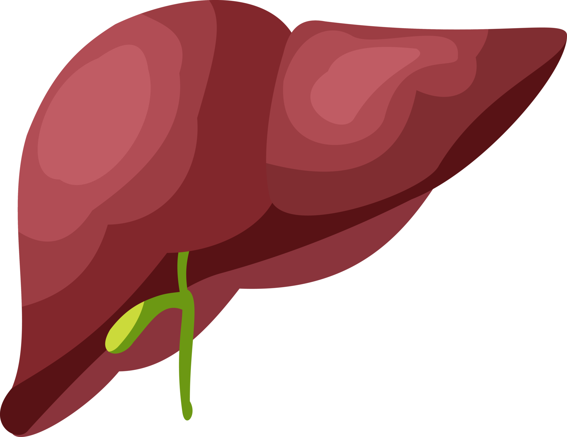 illustration of human liver organ. liver organ flat design 23352169 PNG