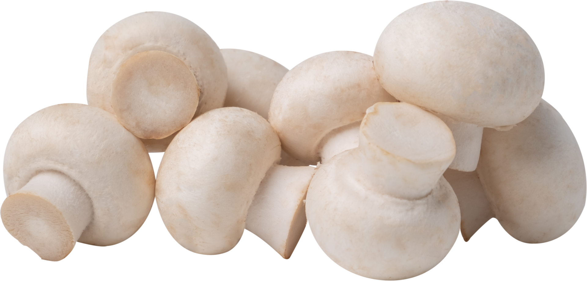 button mushroom cut out on transparent background. png