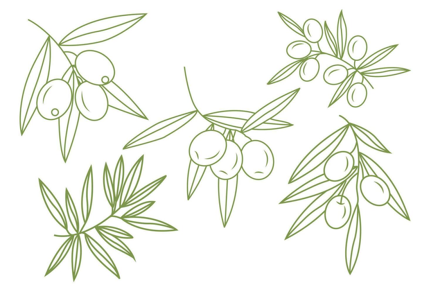 A set of sprigs with olives. Simple icons in doodle style. Vector illustration isolated on white background.