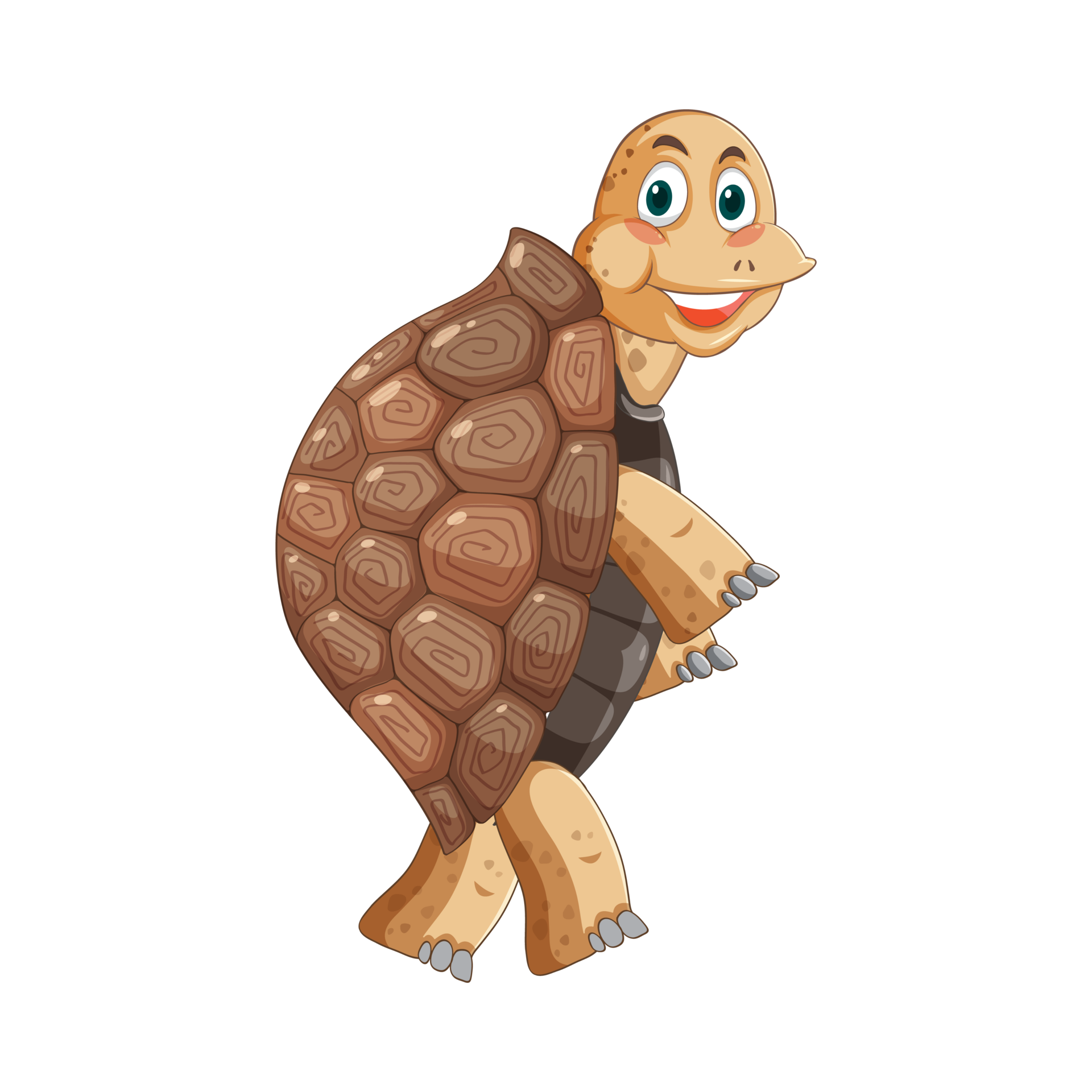 Free Tortoise with brown shell cartoon character 23353877 PNG with