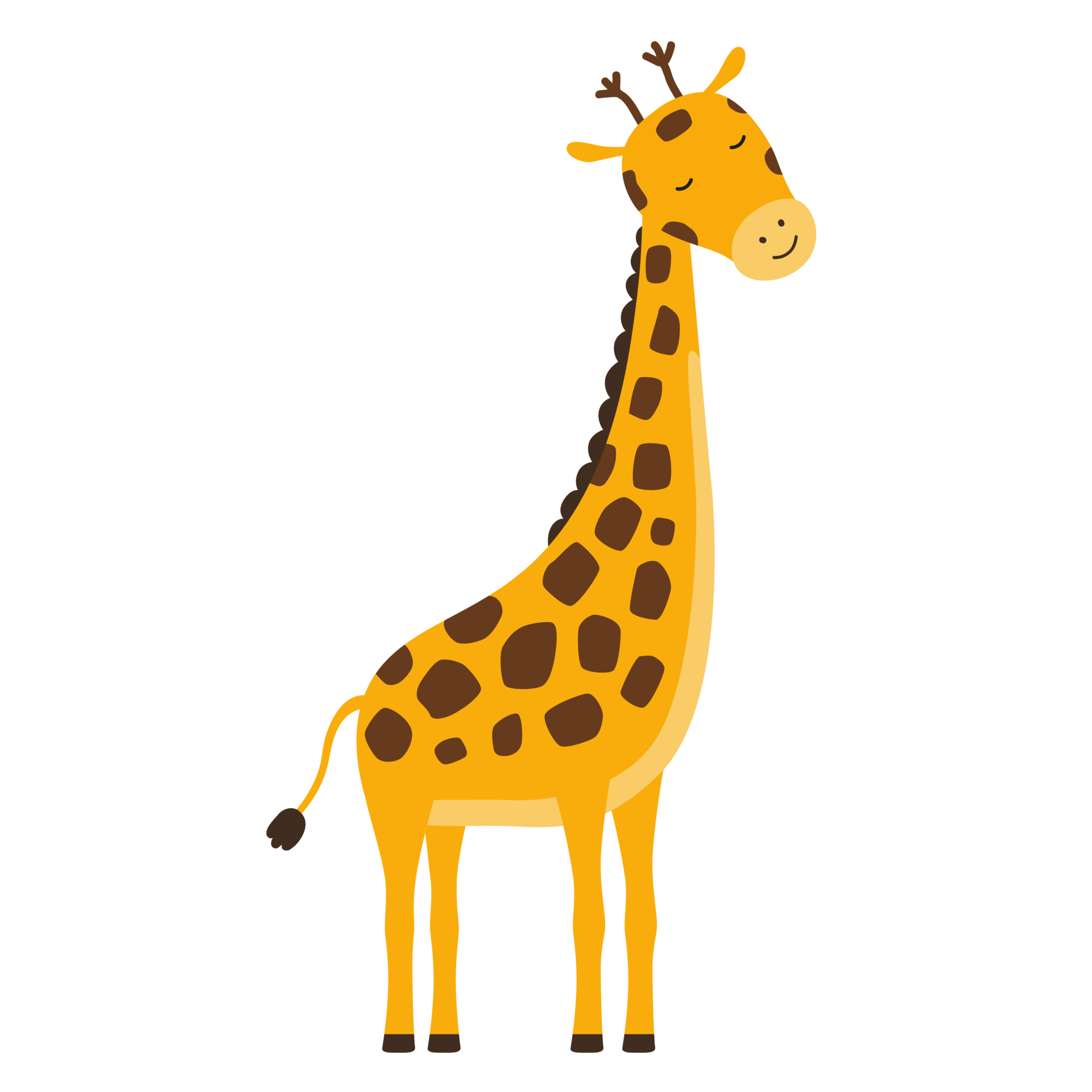 Cute Cartoon Giraffe Isolated On White Background Vec - vrogue.co