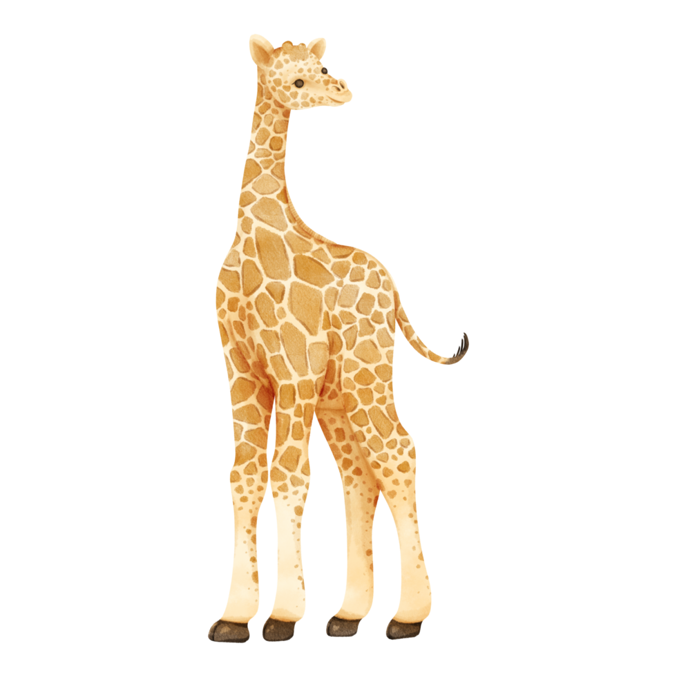 Free Giraffe cartoon style illustration. 23354079 PNG with Transparent