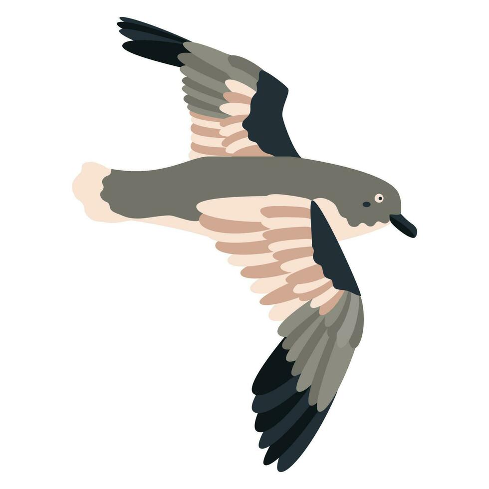 Cute, cartoon petrel bird. Flat vector illustration.