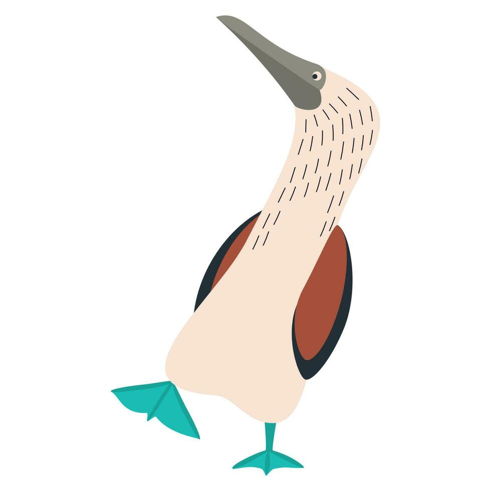 lindo, dibujos animados sula Nebouxii pájaro. plano vector ilustración.