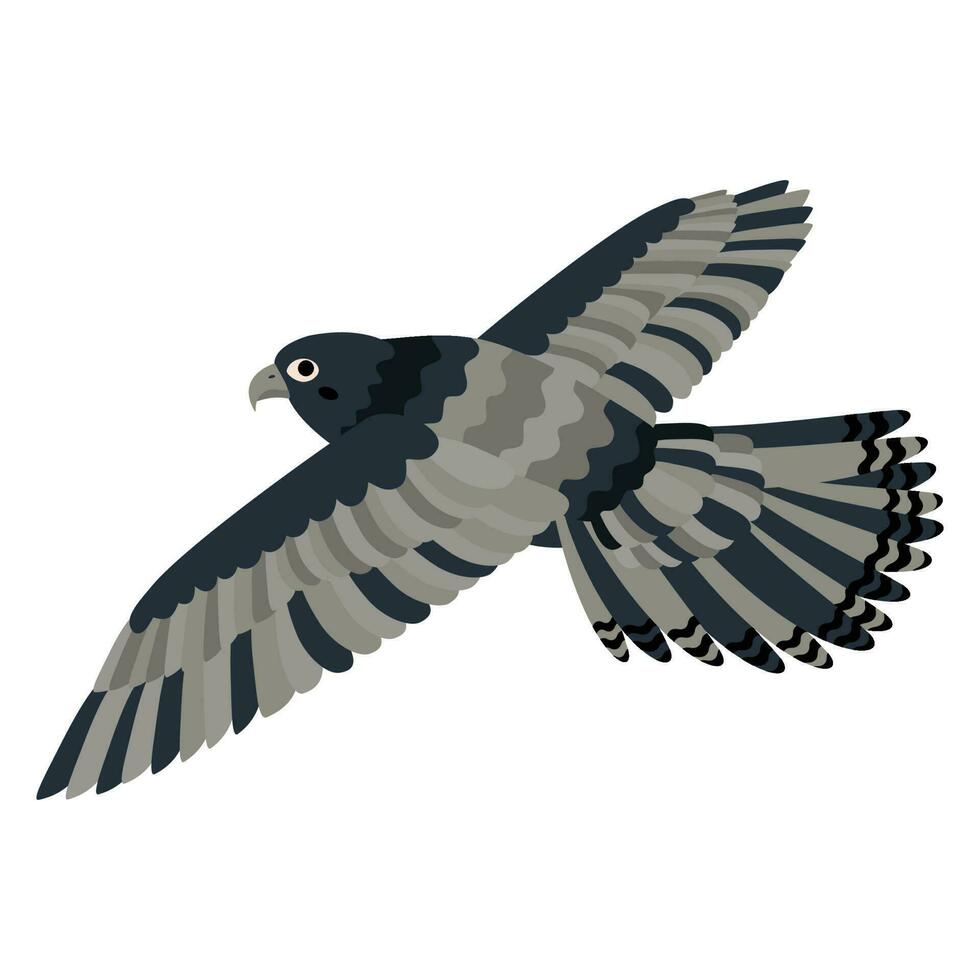 Cute, cartoon falcon bird. Flat vector illustration isolated.