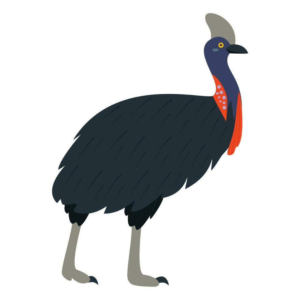 Cute, cartoon cassowary bird. Flat vector illustration.