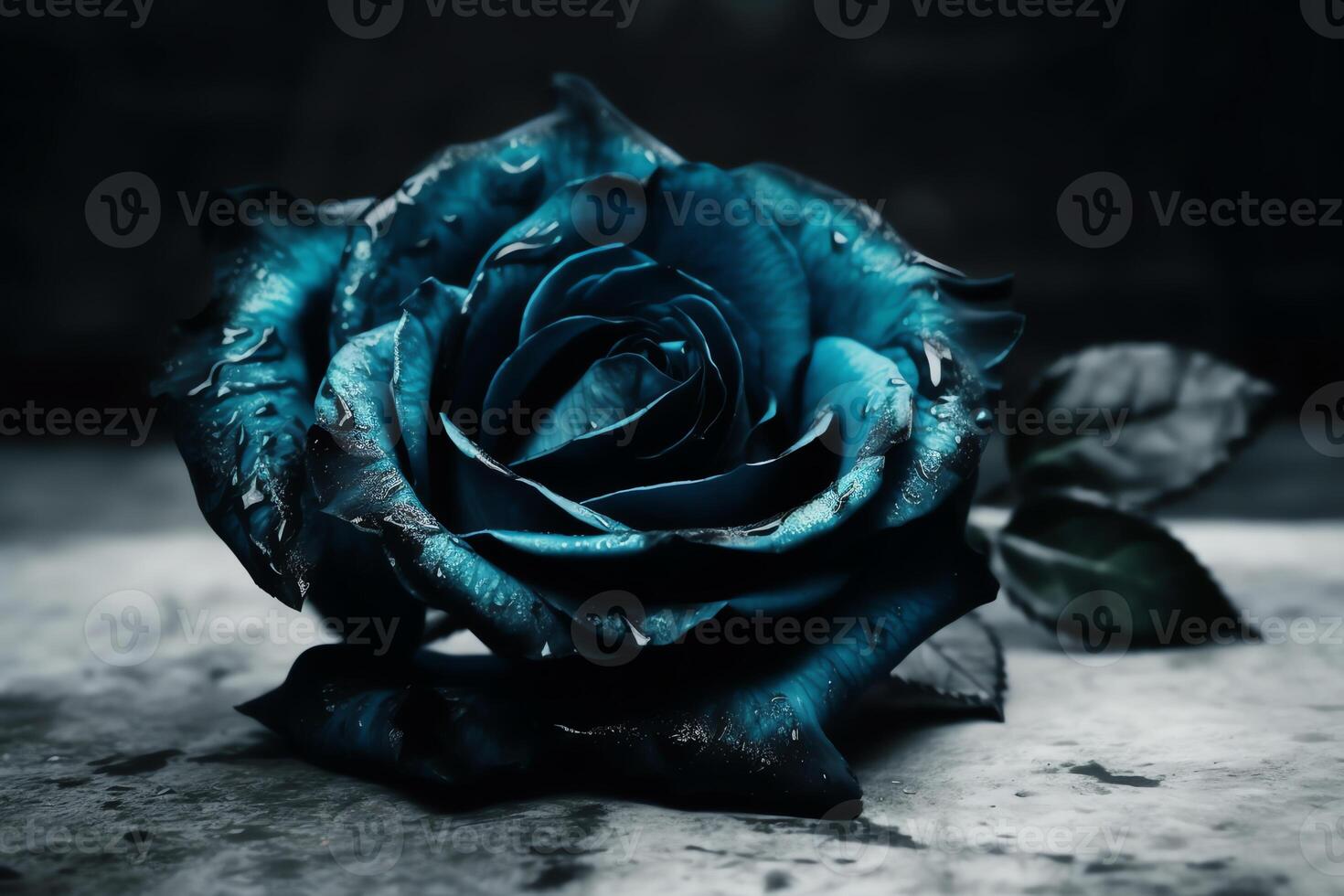 Beautiful high contrast indigo blue and black rose on a bright background. photo