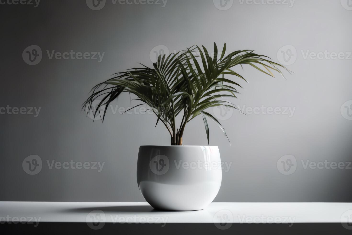 A modern and minimalist plant pot on a white background. photo
