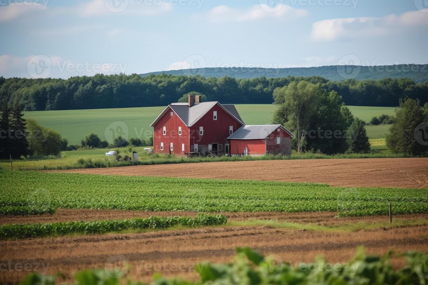 Fields with a red barn in the summertime countryside countryside setting farm construction farm upbringing. photo