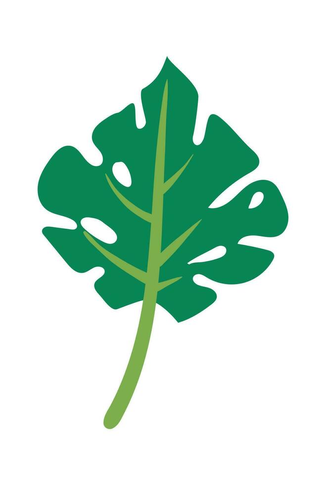 Green fern leaf cartoon flat design style on white vector