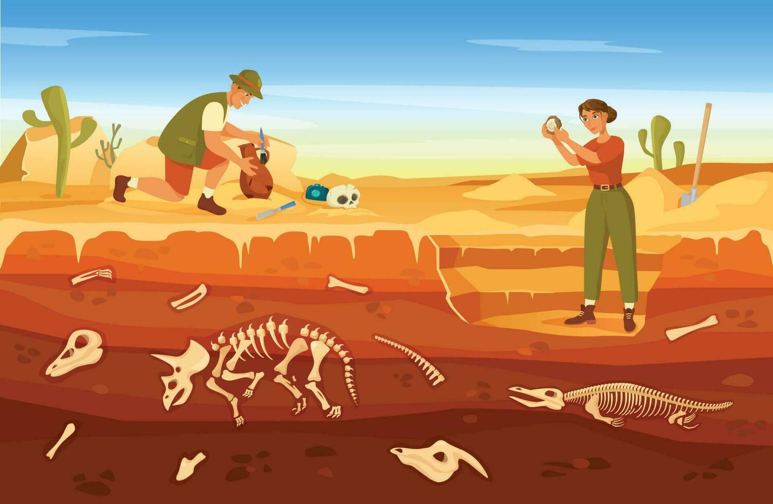 Cartoon archaeological excavation, archaeologists discovering ancient artifacts. Paleontologist finding fossils at dig site vector illustration