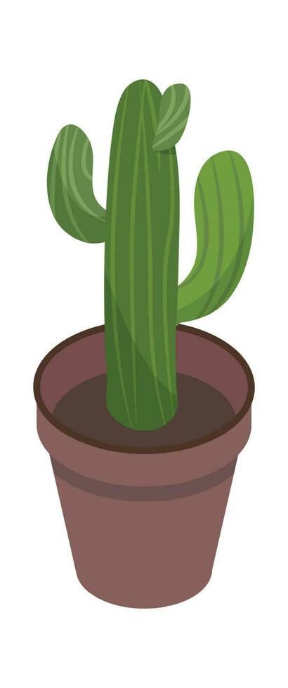 Houseplant green cactus in pot isolated on white vector