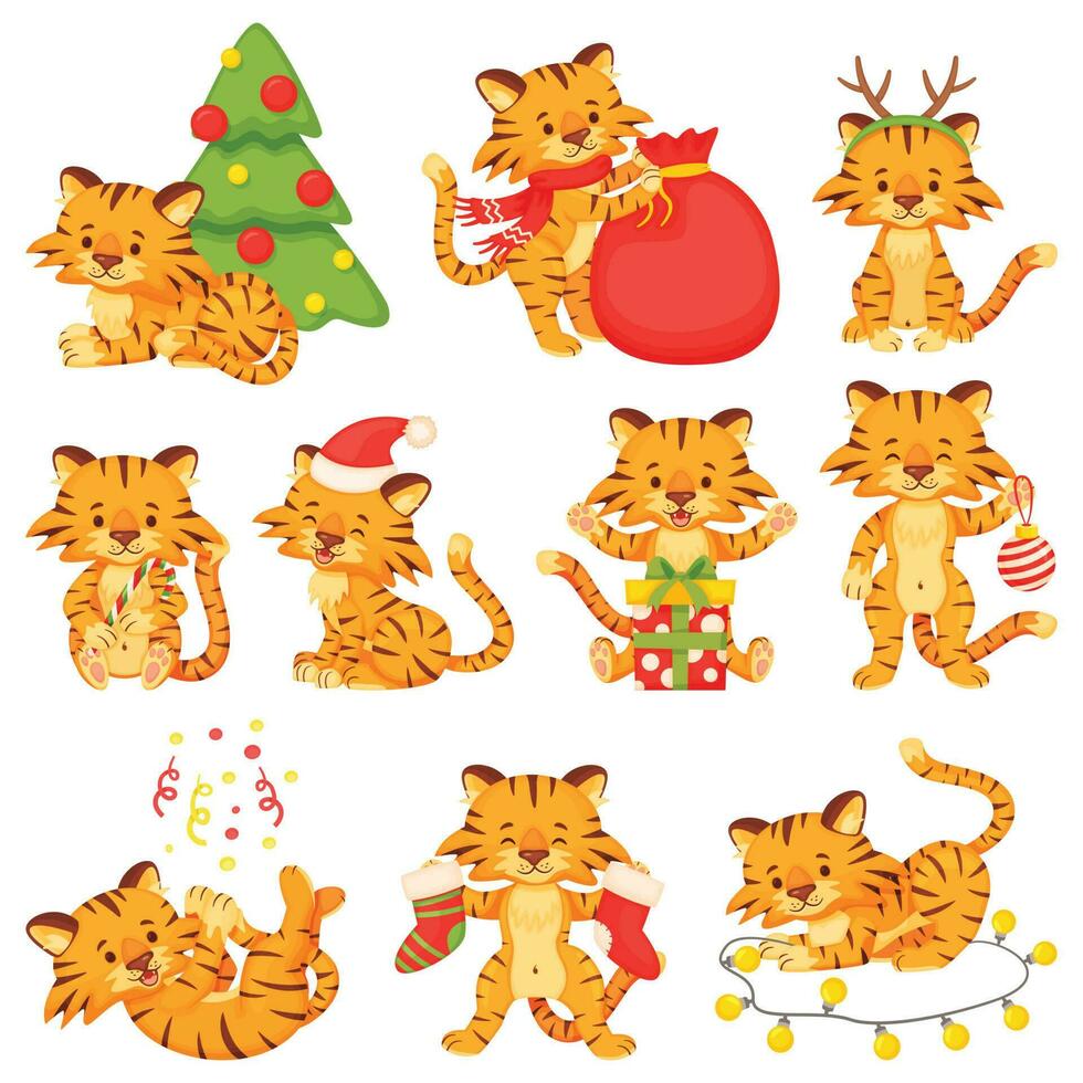 Cartoon cute little tigers, happy tiger cubs. Baby animal characters with xmas tree or gift box celebrating christmas and new year vector set