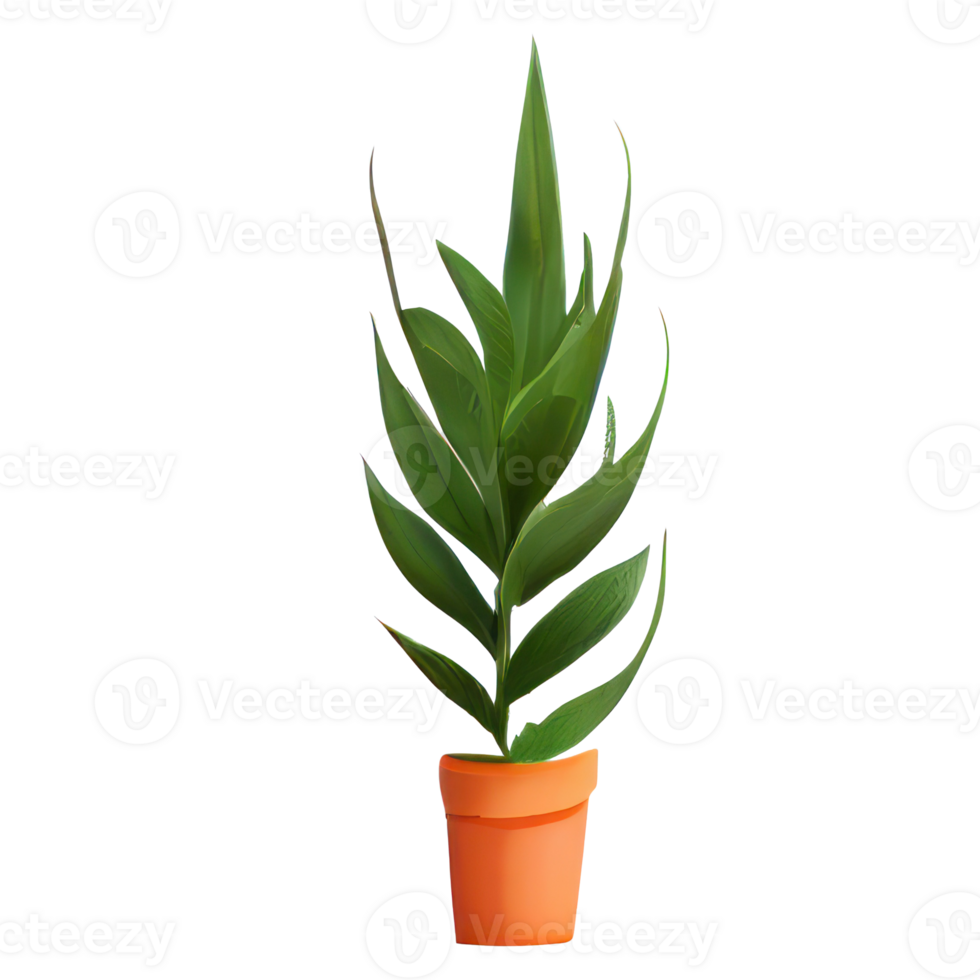 Beautiful plants in ceramic pots . png