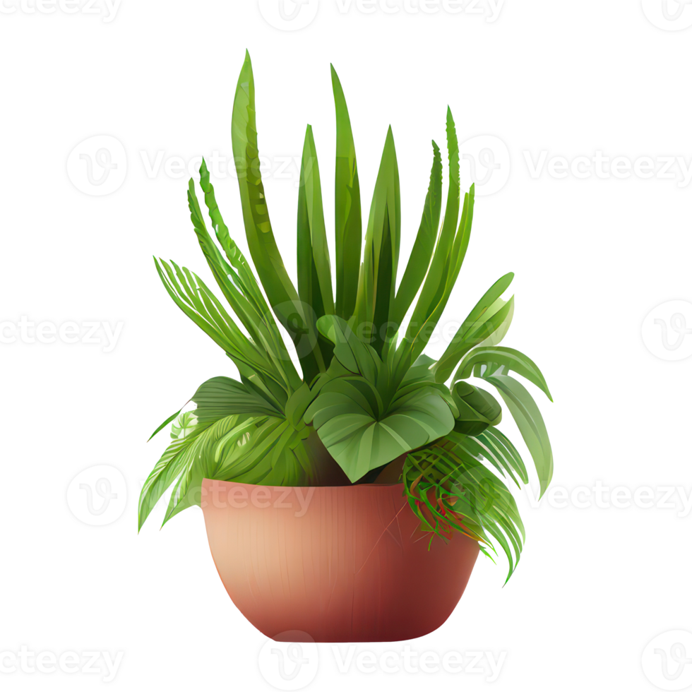 Beautiful plants in ceramic pots . png