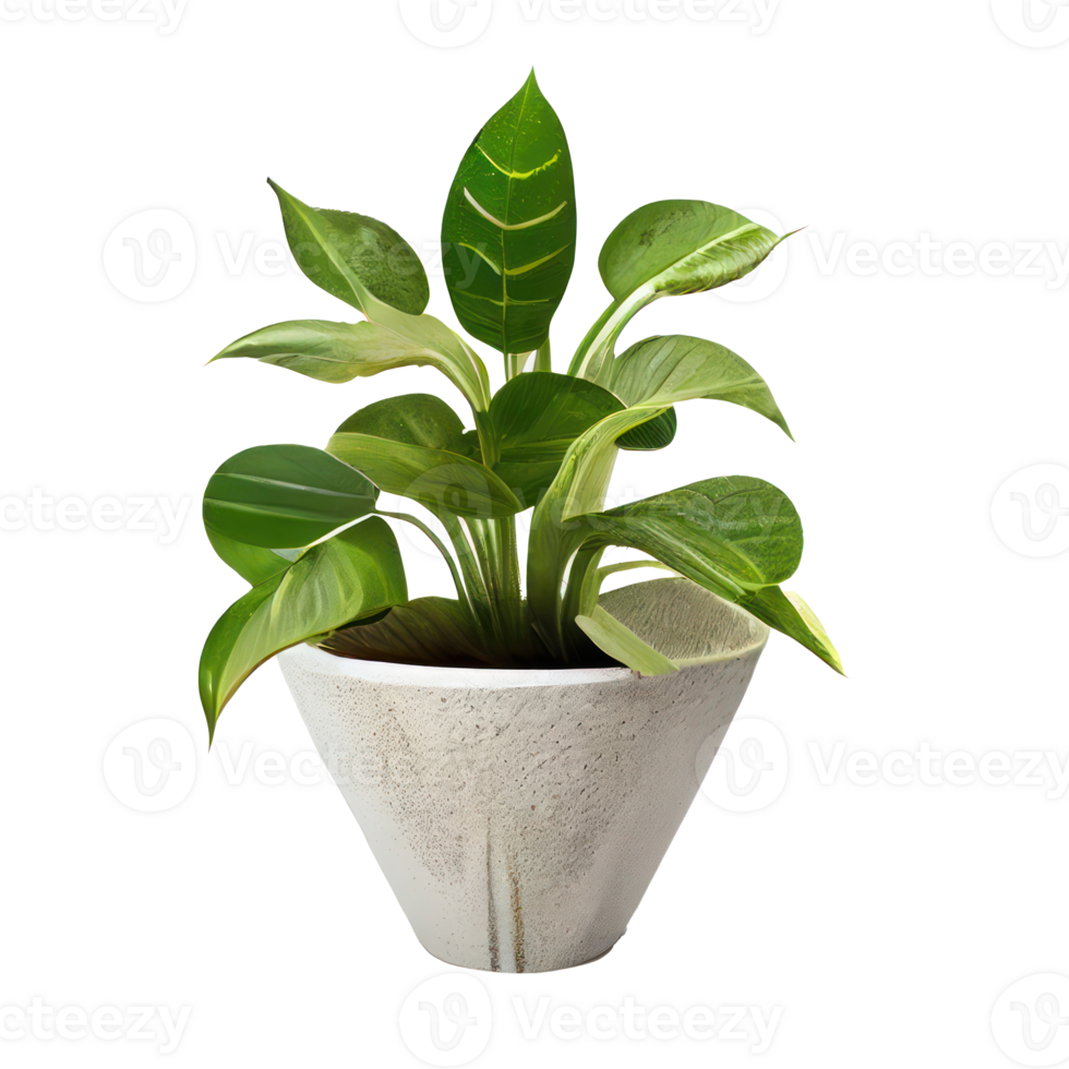 bellissimo impianti nel ceramica pentole . ai generato png