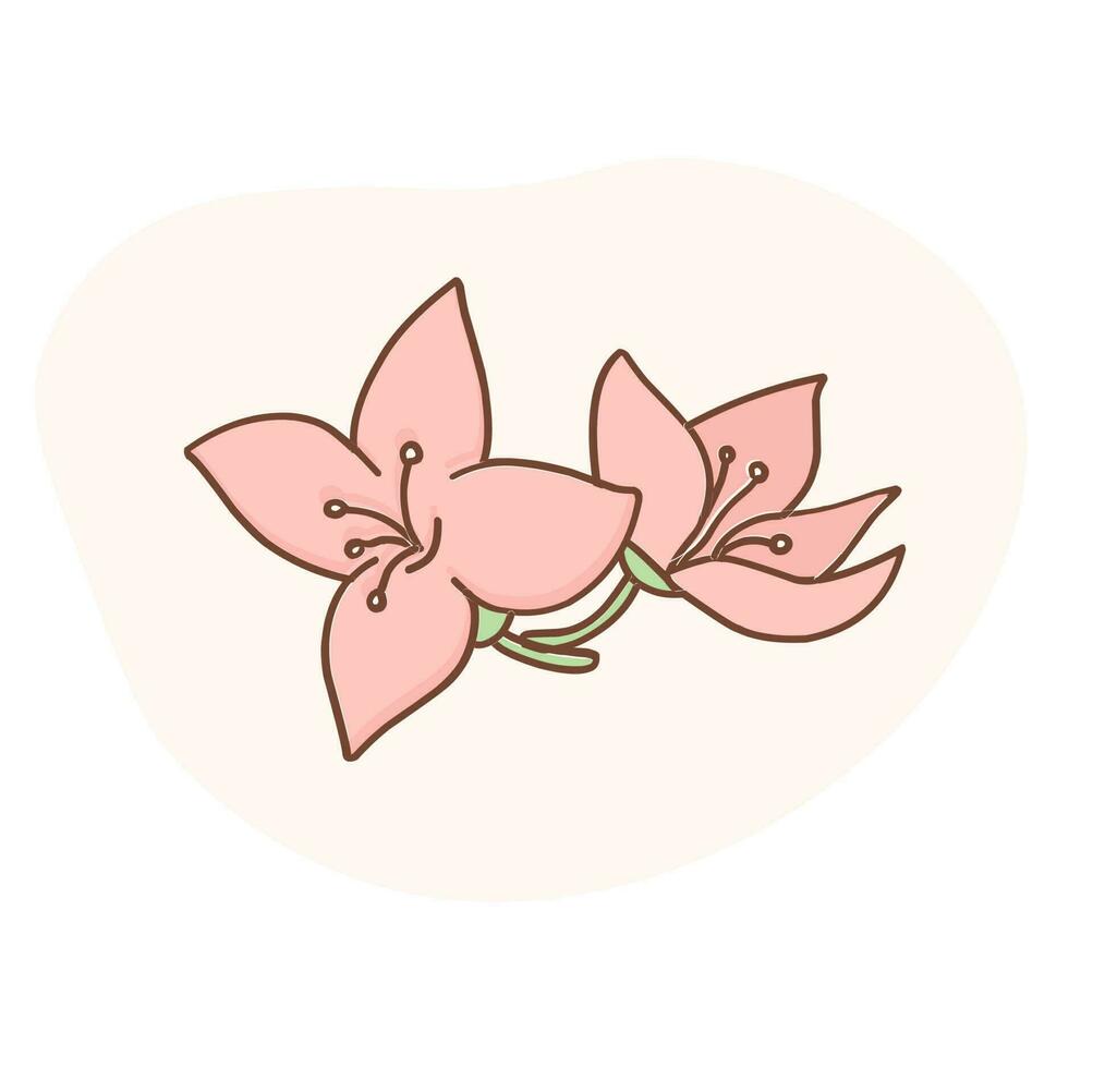 Vanilla flowers vector illustration. Pink flowers.