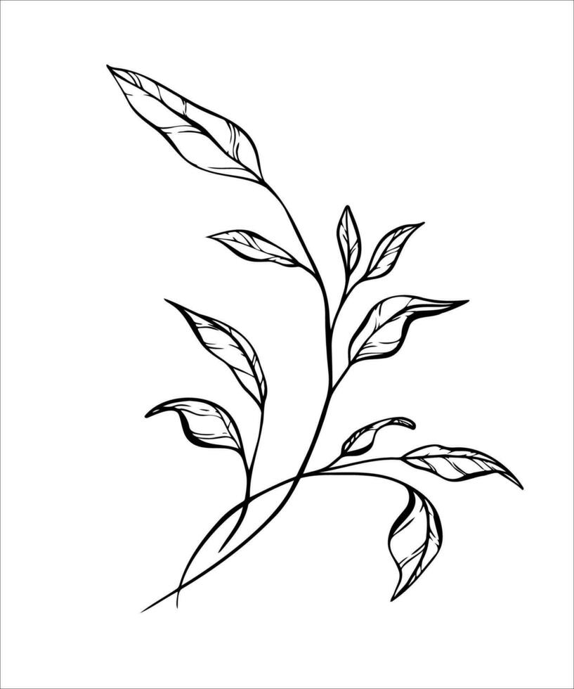 Elegant black line art of a branch leaf, delicate botanical lines vector