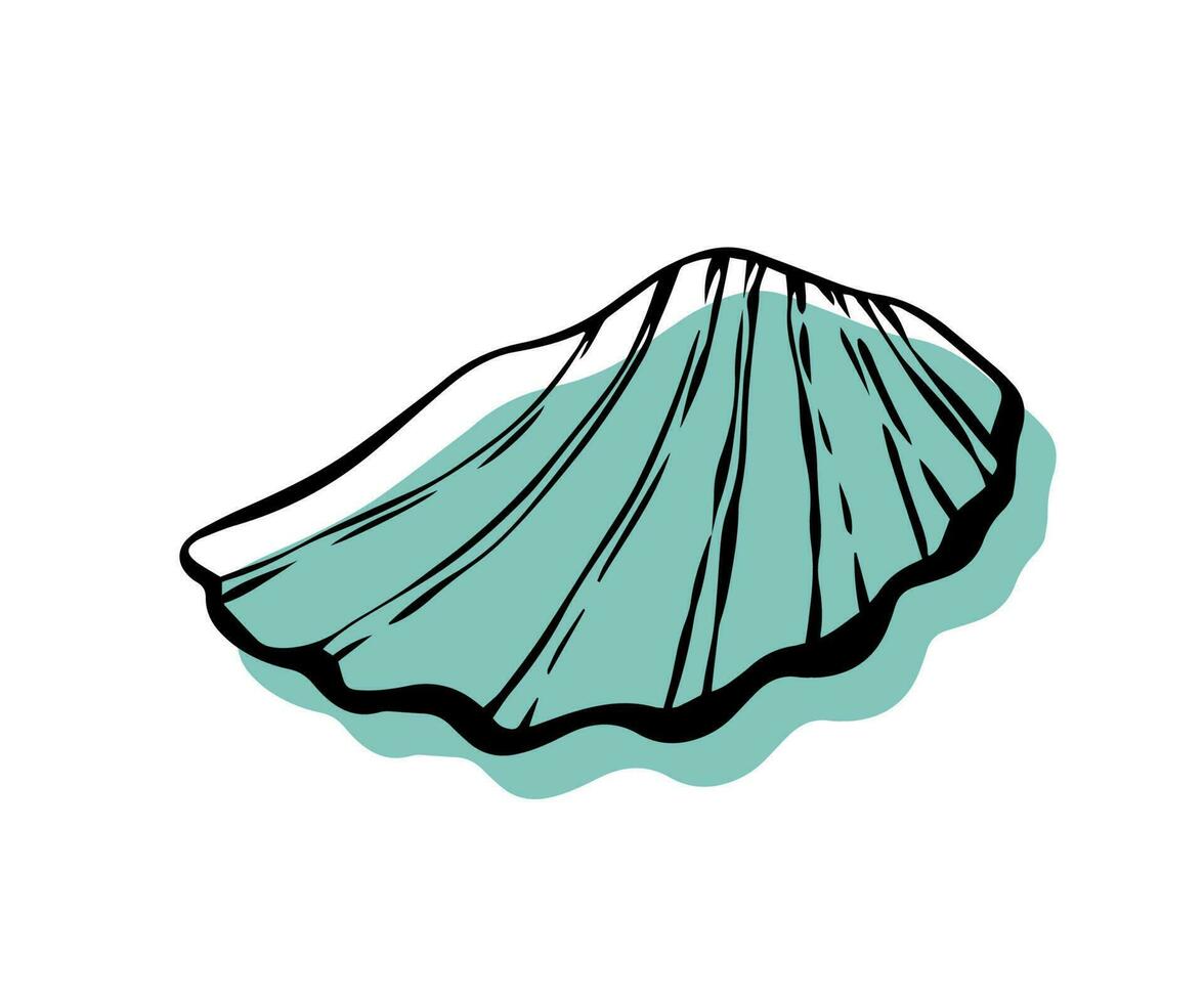 Shell with an outline in a trendy minimal style. Vector illustration of a shell clam for tattoo, design social media post and stories.