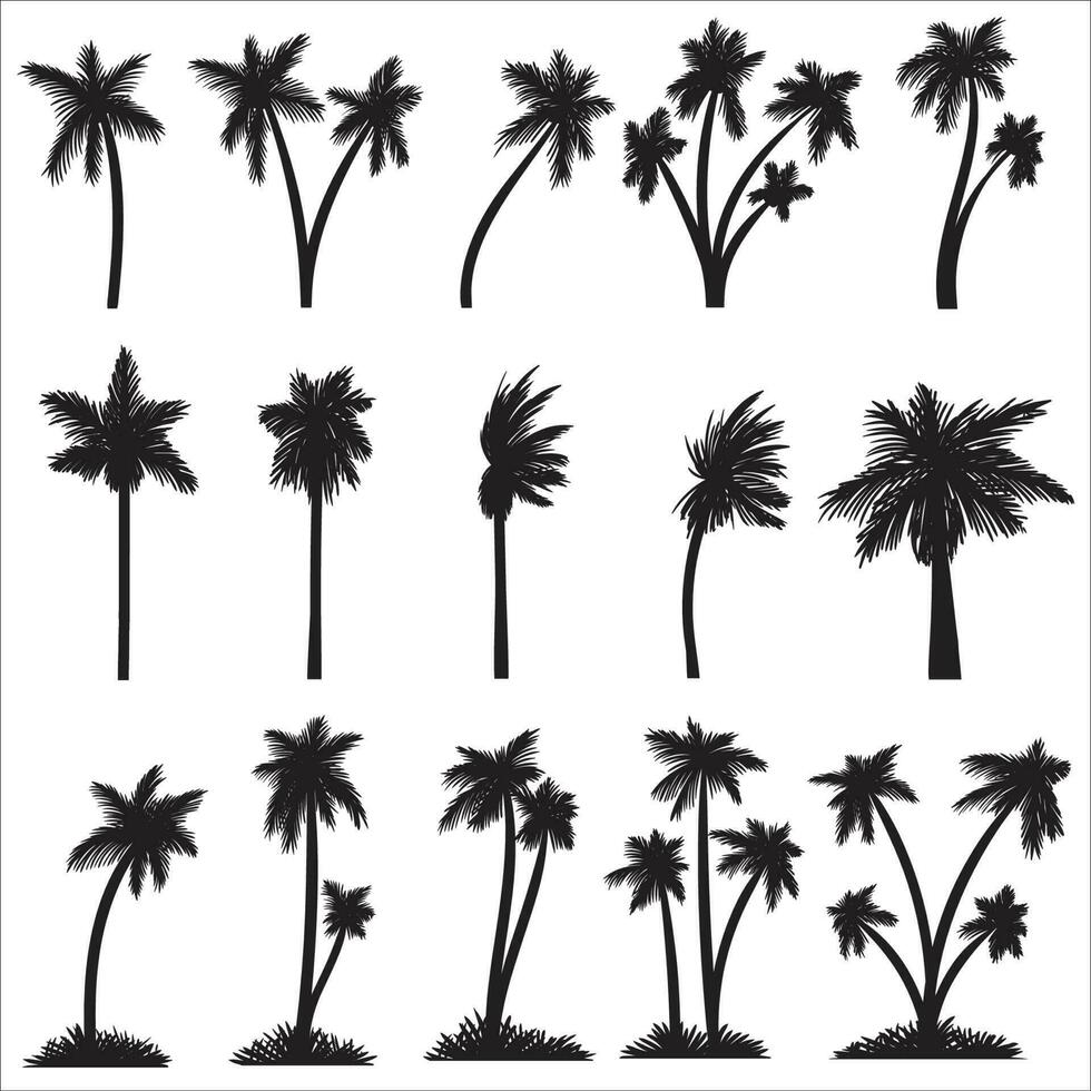 Silhouette Palm tree set collection vector illustration