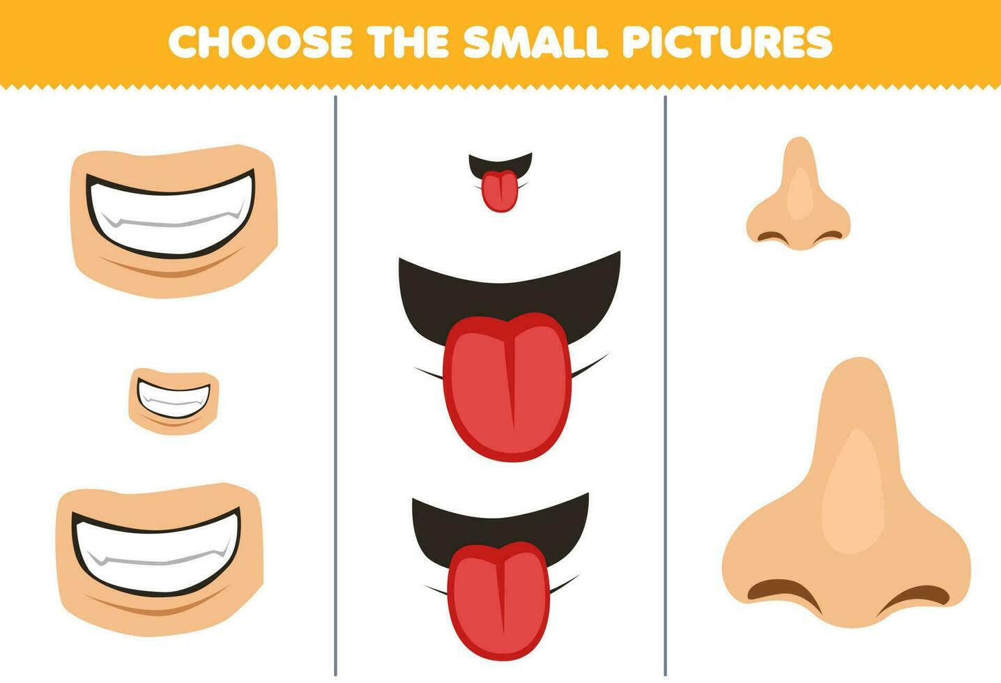 Education game for children choose the small picture of cute cartoon teeth tongue and nose printable anatomy worksheet vector