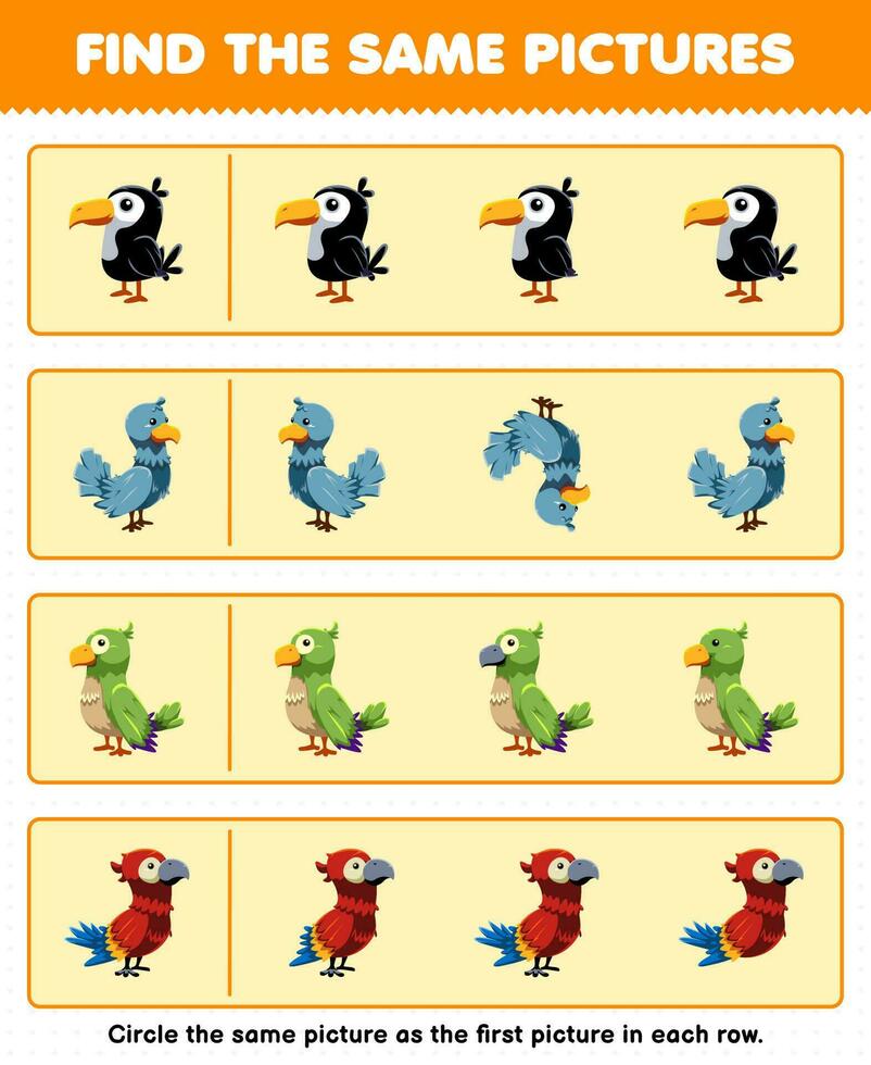 Education game for children find the same picture in each row of cute cartoon toucan dove parakeet parrot printable animal worksheet vector
