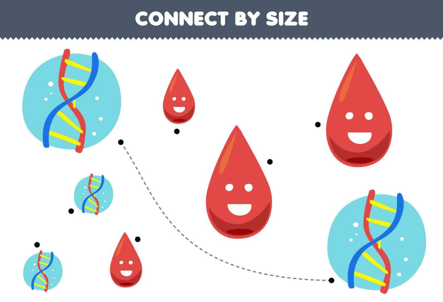 Educational game for kids connect by the size of cute cartoon blood and dna printable anatomy worksheet vector