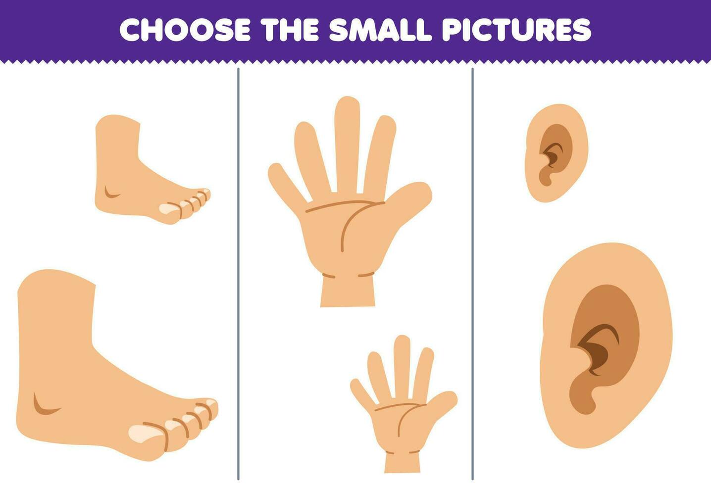 educación juego para niños escoger el pequeño imagen de linda dibujos animados pie mano y oído imprimible anatomía hoja de cálculo vector