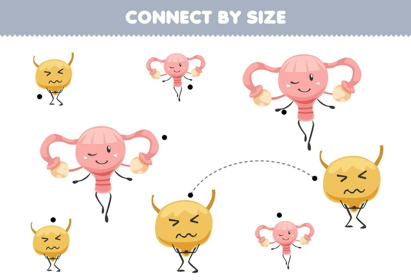 Educational game for kids connect by the size of cute cartoon bladder and uterus printable anatomy worksheet vector