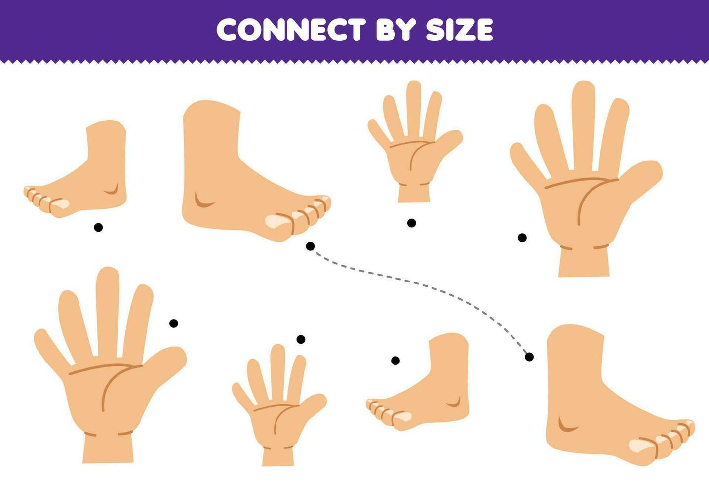 Educational game for kids connect by the size of cute cartoon hand and foot printable anatomy worksheet vector