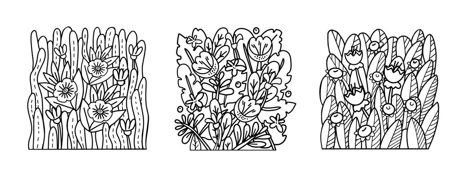 Set of flower composition outline contour graphics for wall decoration, t-shirts, banner design vector