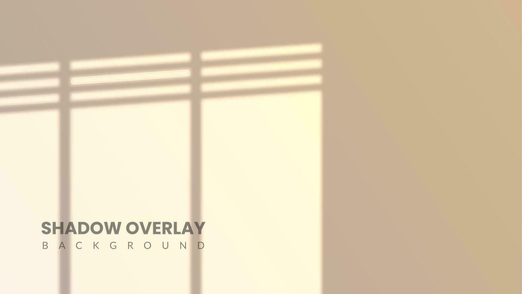 Realistic shadow overlay background. White room interior with sunlight coming through the window. Aesthetic sunrise in the room vector