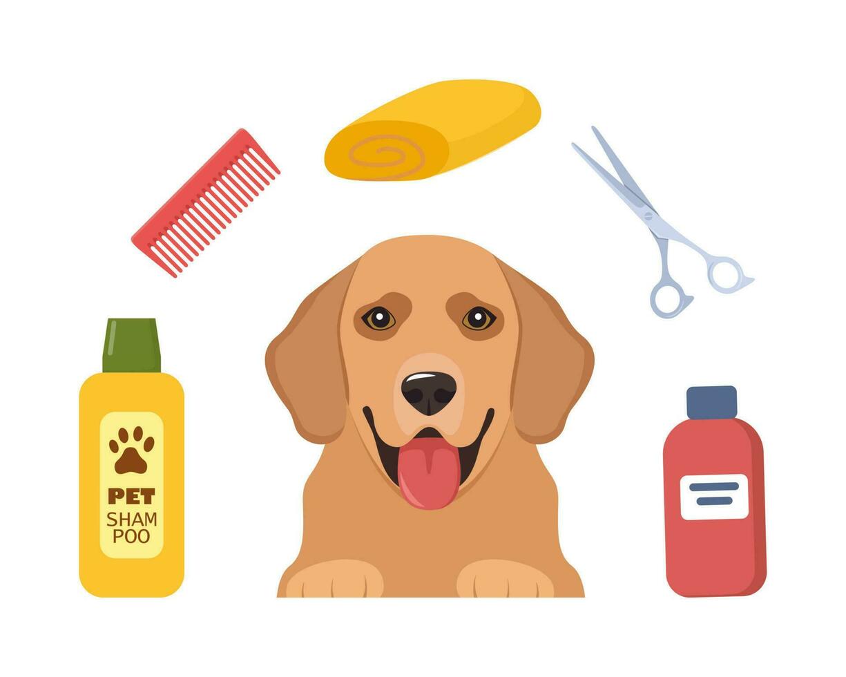 Dog Grooming. Caring for animals. Dog hair salon. Golden Retriever. Tools for the care of animals. Scissors, brush, shampoo, towel. Pet grooming salon. Vector illustration.