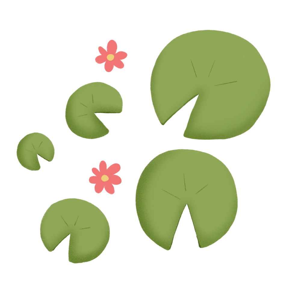 Green lotus leaf with flower png