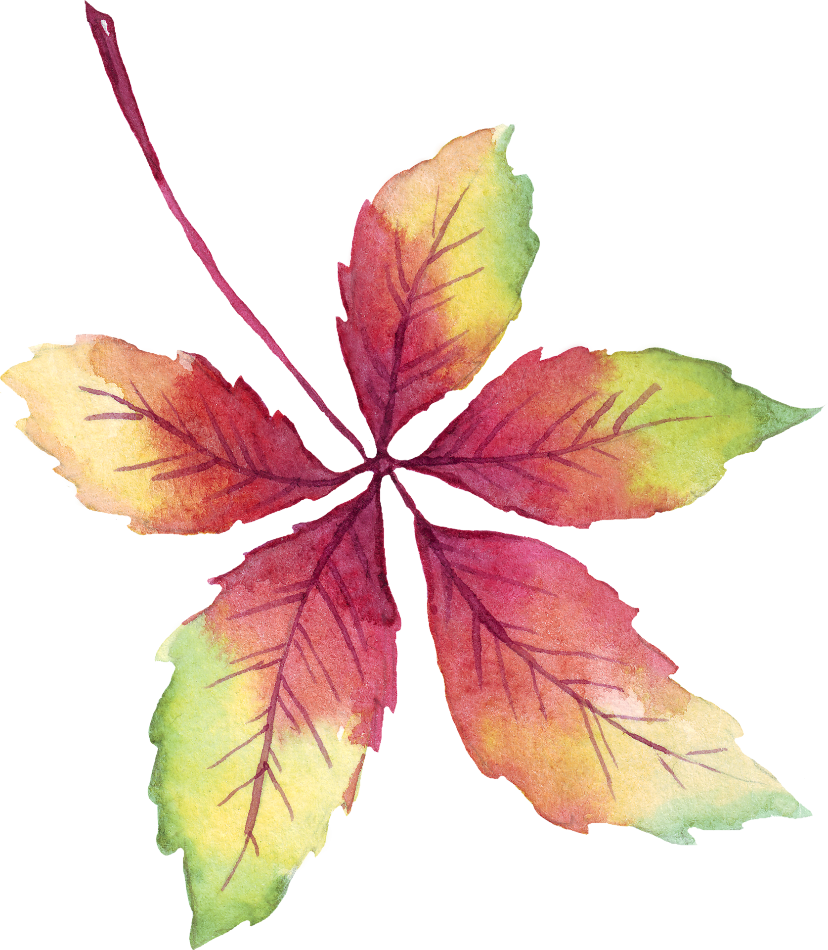 Free Fall leaf. Watercolor clipart 23364853 PNG with Transparent Background