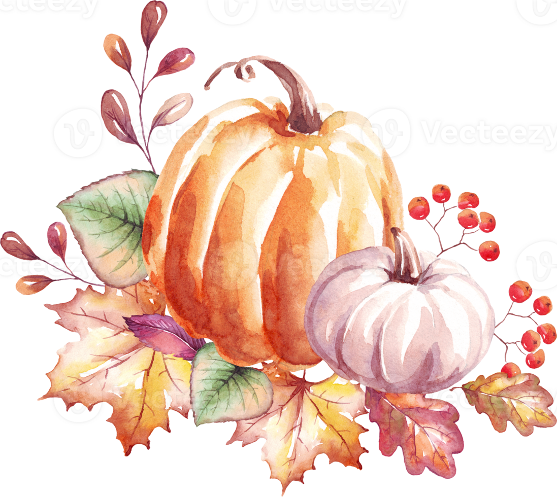 Pumpkins. Autumn mood. Watercolor clipart png