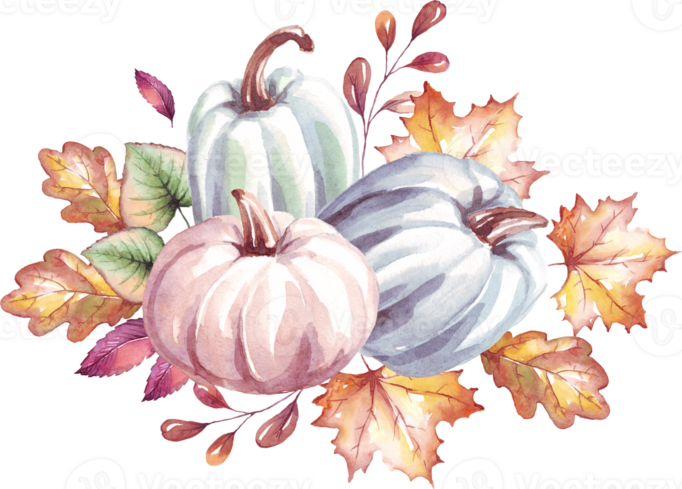 calabazas otoño humor. acuarela clipart png