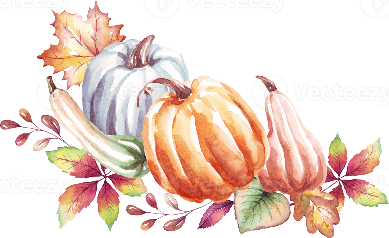 calabazas otoño humor. acuarela clipart png