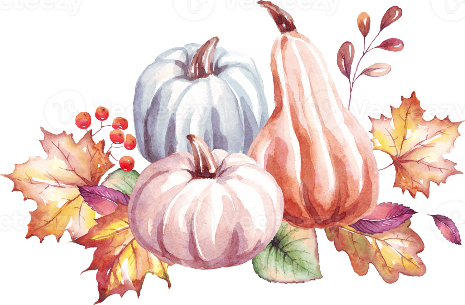 Pumpkins. Autumn mood. Watercolor clipart png