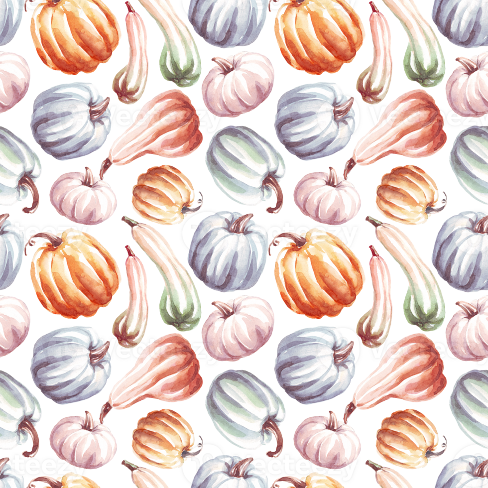 Pumpkins seamless pattern. WAtercolor clipart png
