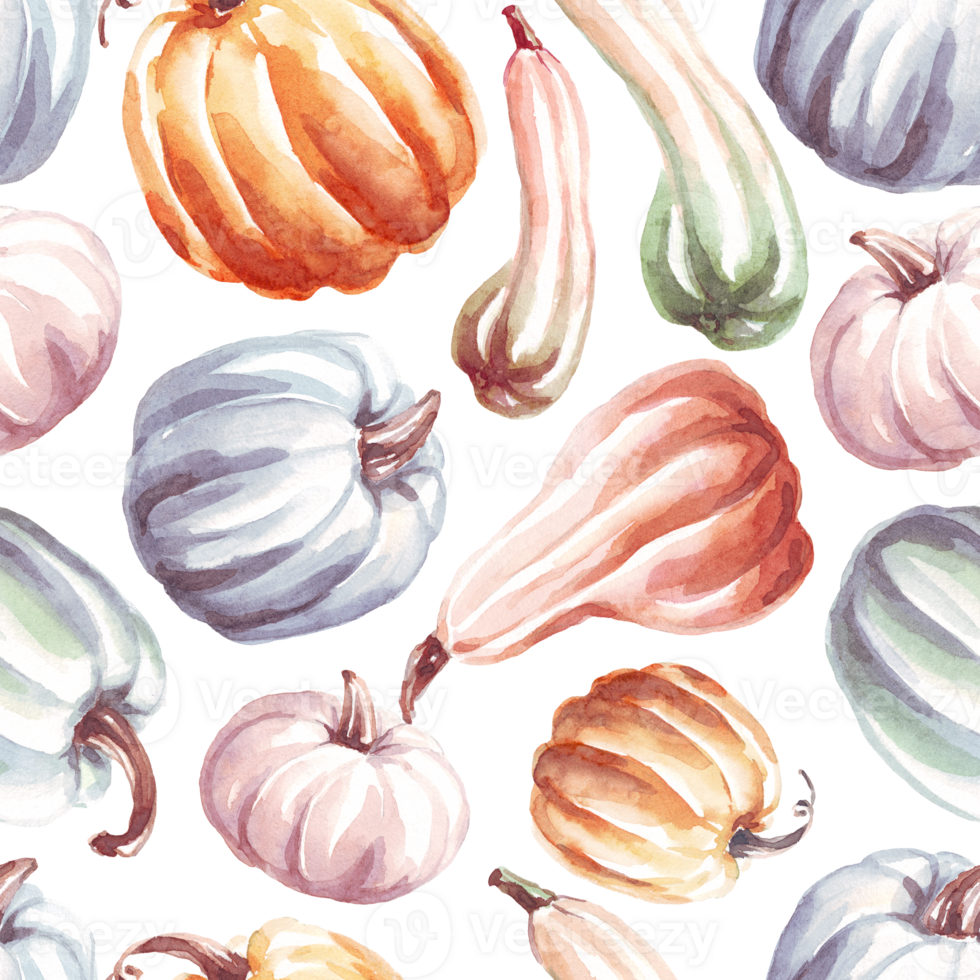 Pumpkins seamless pattern. WAtercolor clipart png
