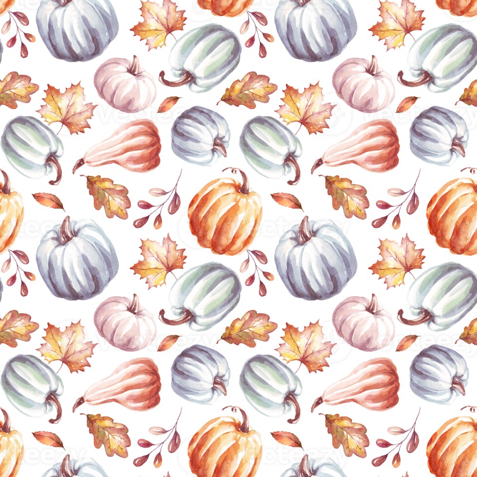 Pumpkins seamless pattern. WAtercolor clipart png
