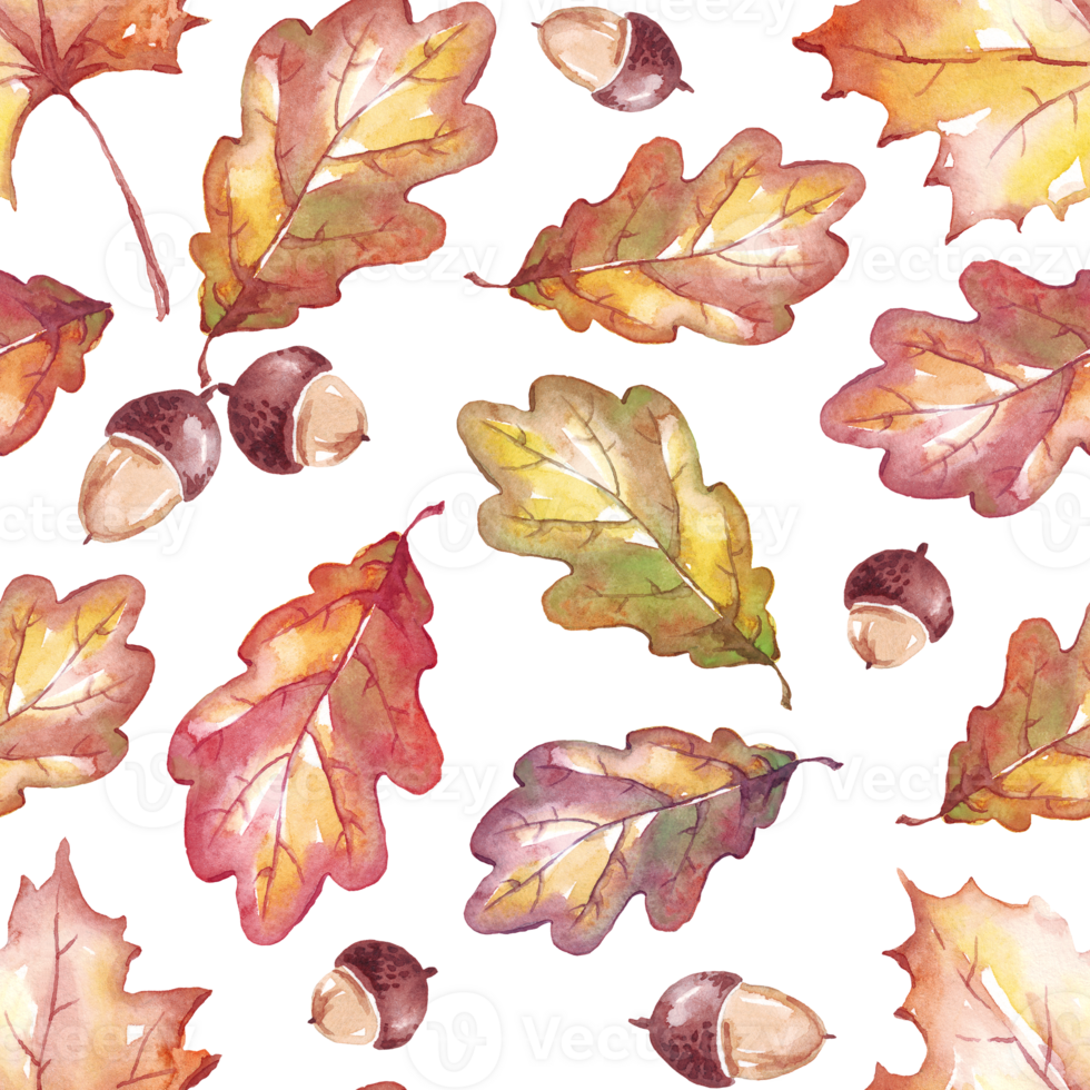 Fall leaves and acorns seamless pattern png