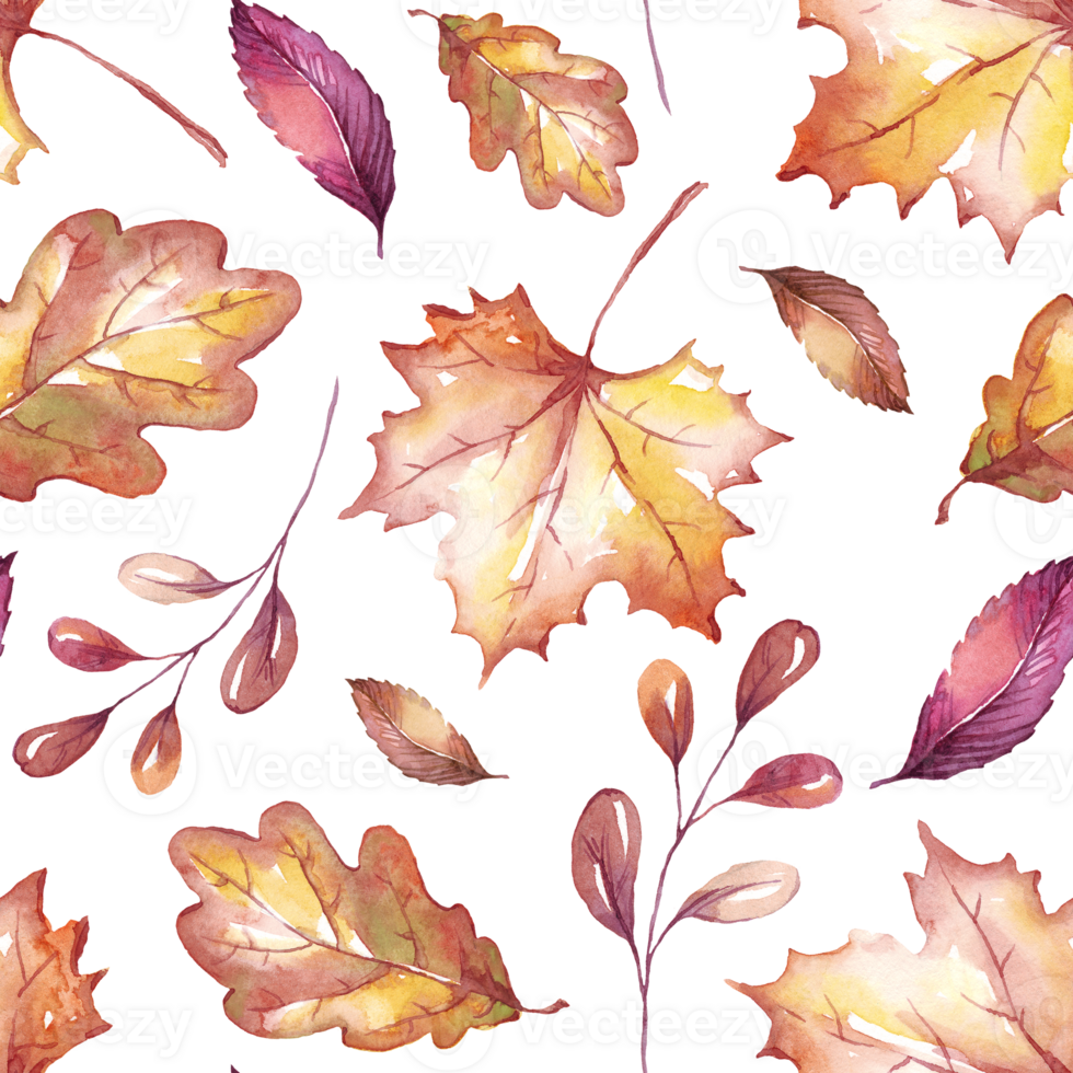 Fall leaves seamless pattern png