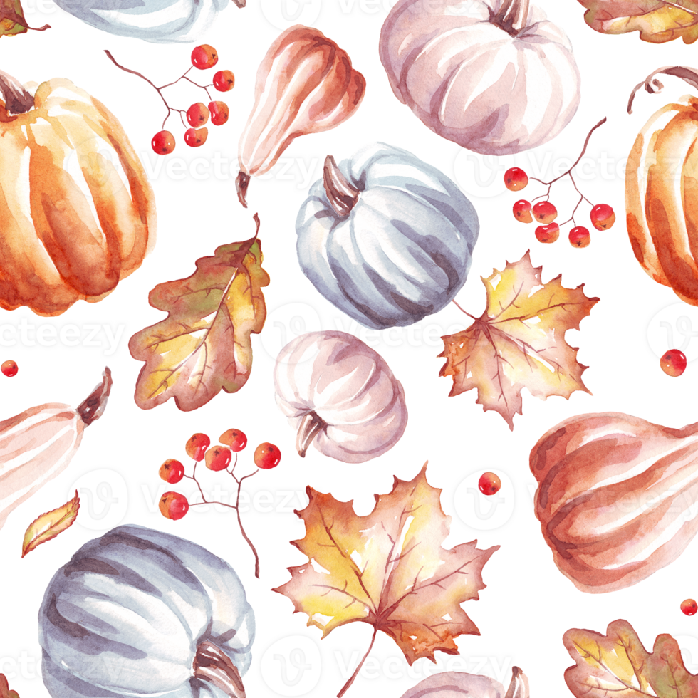 Pumpkins seamless pattern. WAtercolor clipart png