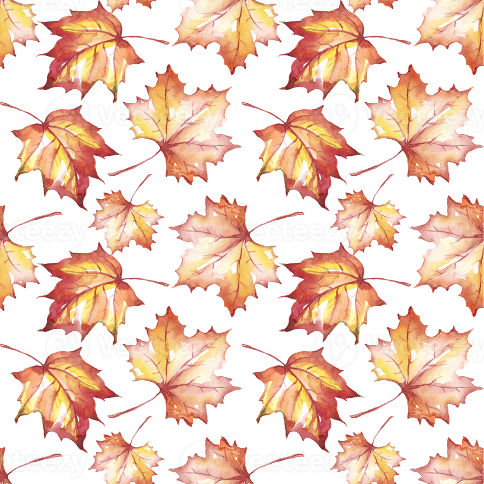 Fall leaves seamless pattern png